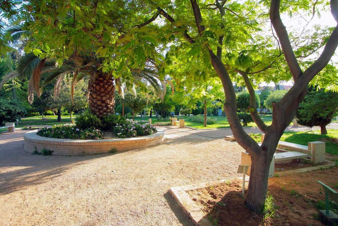 گلهای رز در گلستان باغ ارم شیراز