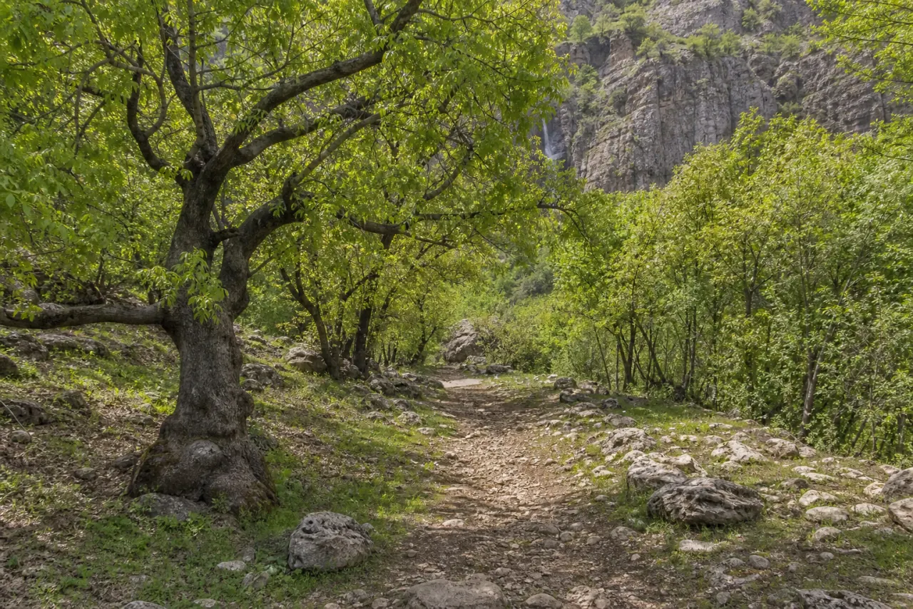 مسیر روستایی و جنگلی رسیدن به آبشار گریت