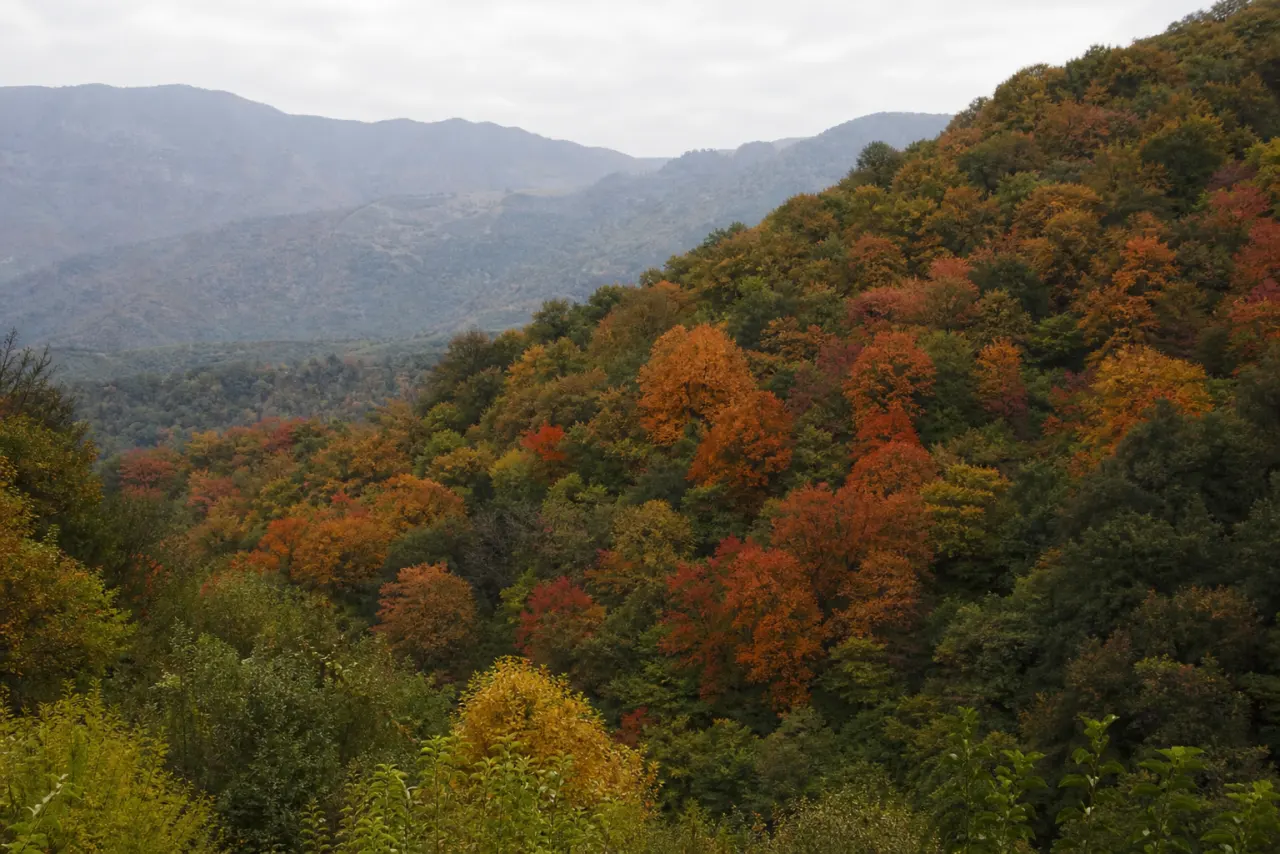 جنگل هزاررنگ توسکستان در پاییز