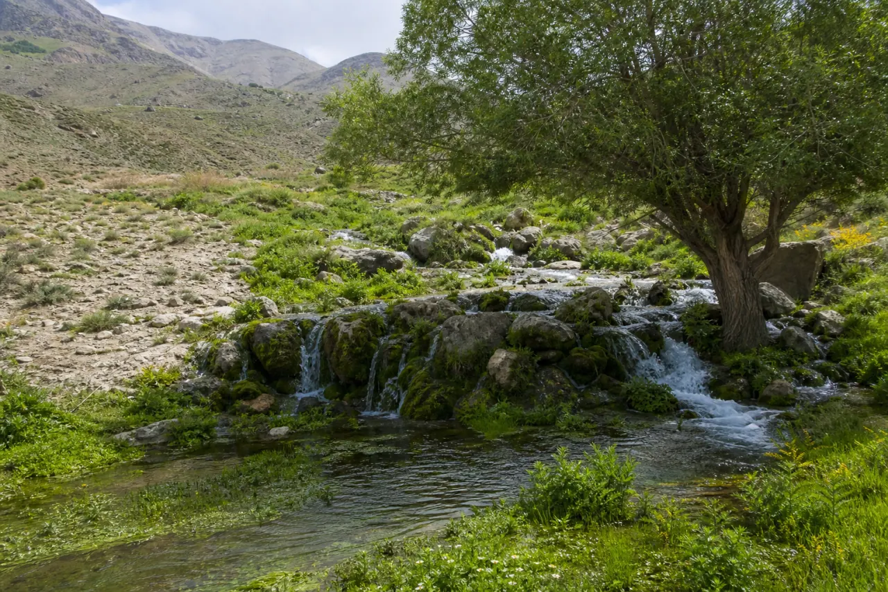 چشمههای جوشان هفتچشمه شهمیرزاد در طبیعت سبز