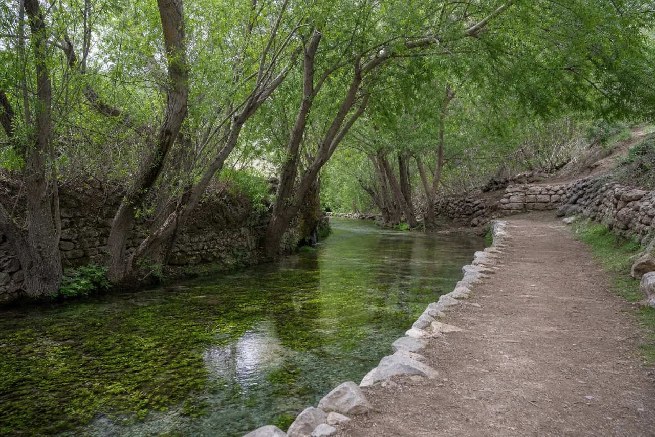 جوی آب و درختان مسیر هفتچشمه شهمیرزاد