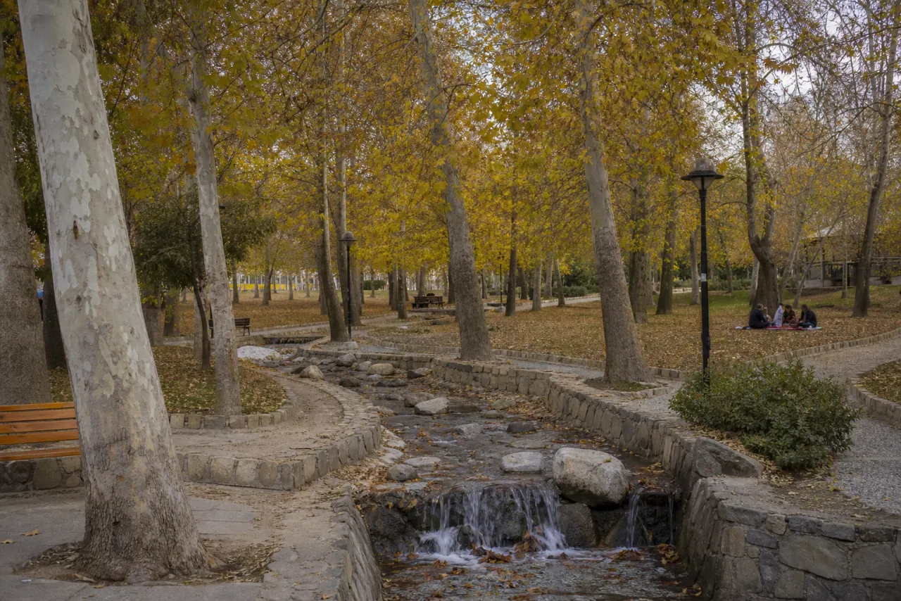 درخت‌های چنار و جوی آب پارک وکیل‌آباد مشهد در پاییز