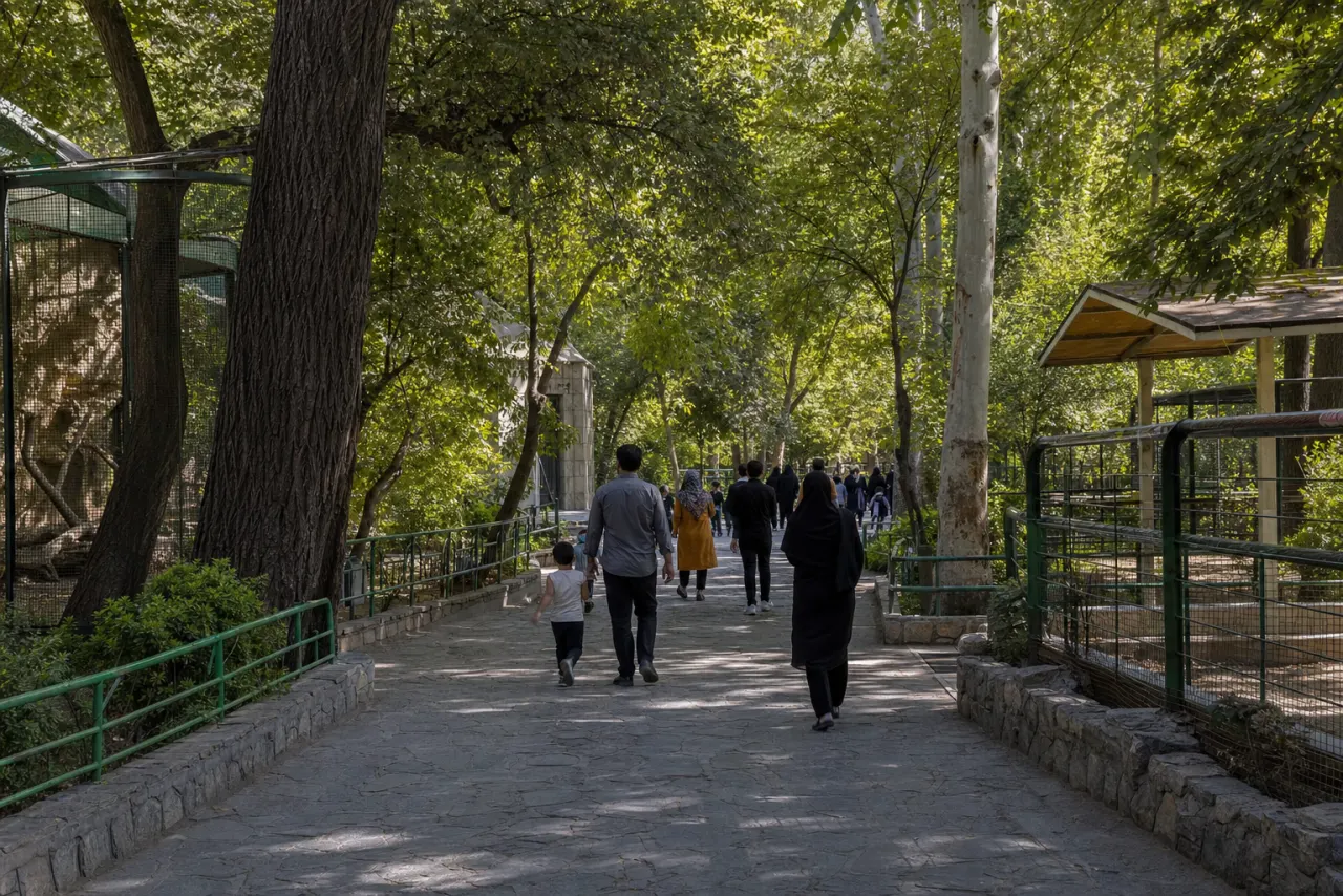 مسیر بازدید خانوادگی باغ وحش وکیلآباد مشهد