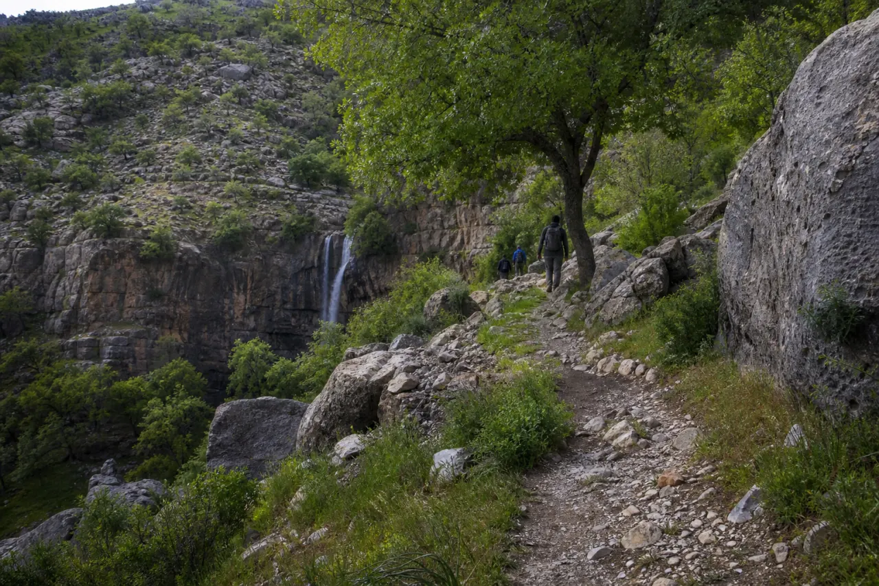 مسیر سنگی و سرسبز رسیدن به آبشار وارک
