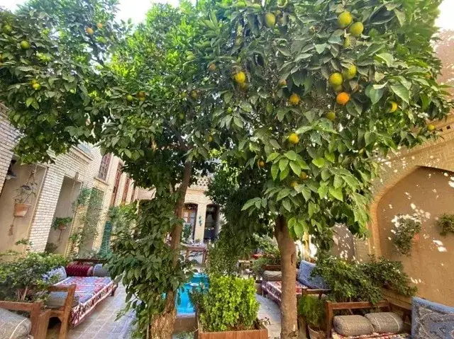 هتل ماه منیر شیراز — عکس ۳